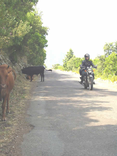 Deserted roads, Corsica