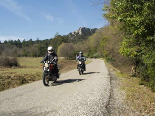 On the way up to Mt Saint Victoire
