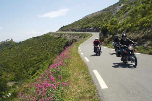Lavendar fringed roadside on the 'Route des Cretes'